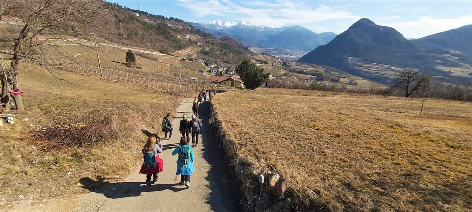 Escursione dal Monte Calisio all'Orrido di Ponte Alto Escursione dal Monte Calisio all'Orrido di Ponte Alto desktop picture
