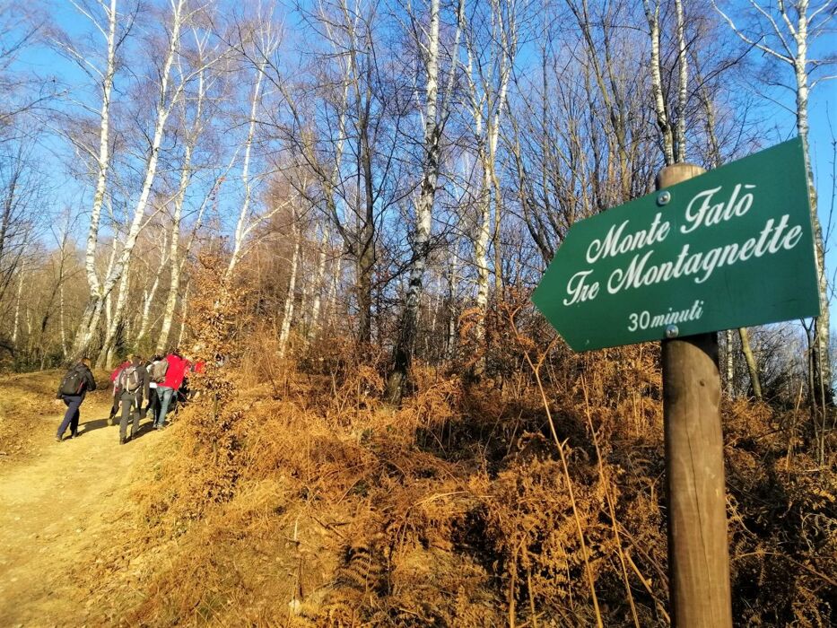 Escursione al tramonto sul Monte Falò Escursione al tramonto sul Monte Falò desktop picture