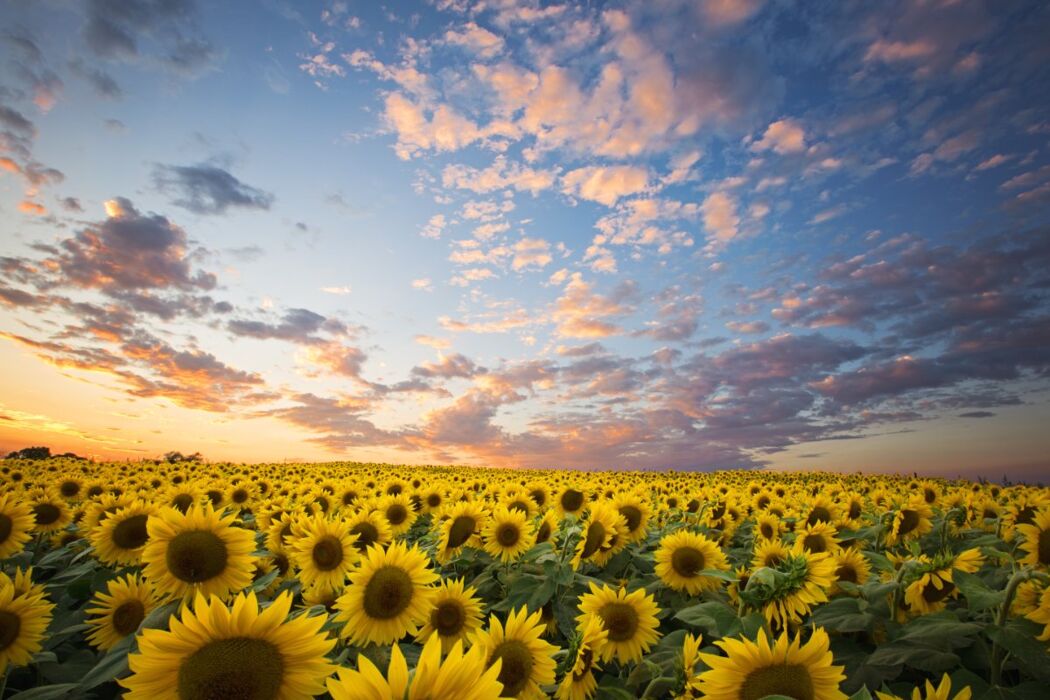 Trekking tra le Perle del Monferrato: La Torre dei Segnali Trekking tra le Perle del Monferrato: La Torre dei Segnali desktop picture