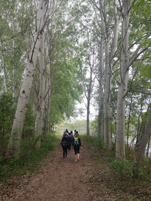 Passeggiata a Cornalese: Il Borgo Fuori dal Tempo Passeggiata a Cornalese: Il Borgo Fuori dal Tempo desktop picture