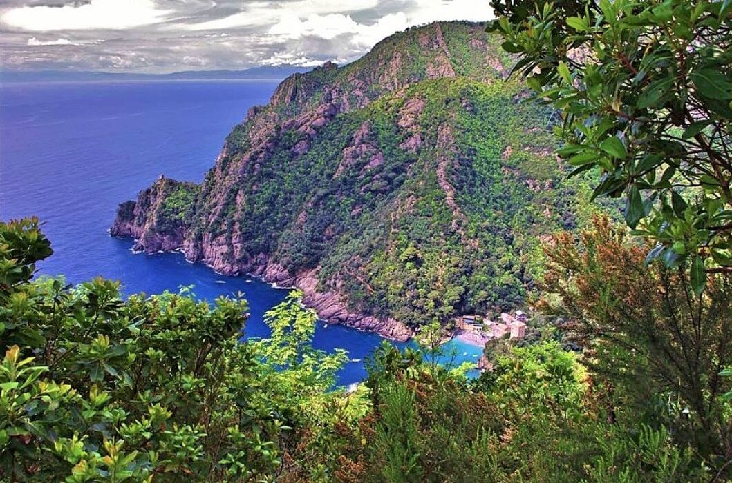 Da San Rocco a Punta Chiappa, Angoli di Paradiso nel Promontorio di Portofino Da San Rocco a Punta Chiappa, Angoli di Paradiso nel Promontorio di Portofino desktop picture