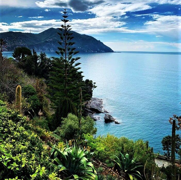 Da San Rocco a Punta Chiappa, Angoli di Paradiso nel Promontorio di Portofino Da San Rocco a Punta Chiappa, Angoli di Paradiso nel Promontorio di Portofino desktop picture
