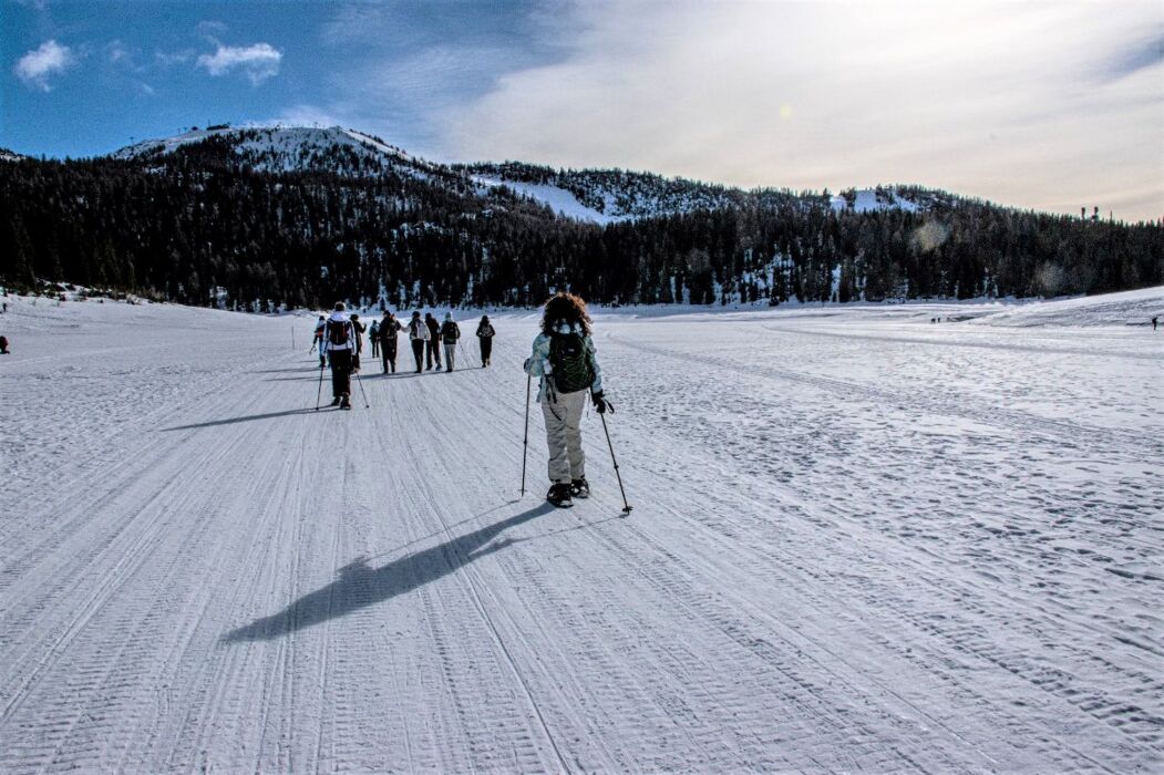 Ciaspolata al Lago Palù esplorando la Natura Addormentata Ciaspolata al Lago Palù esplorando la Natura Addormentata desktop picture
