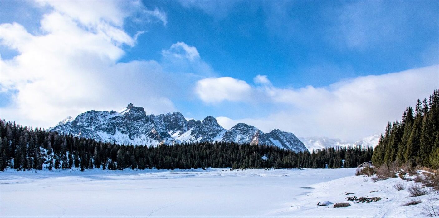 Ciaspolata al Lago Palù esplorando la Natura Addormentata Ciaspolata al Lago Palù esplorando la Natura Addormentata desktop picture