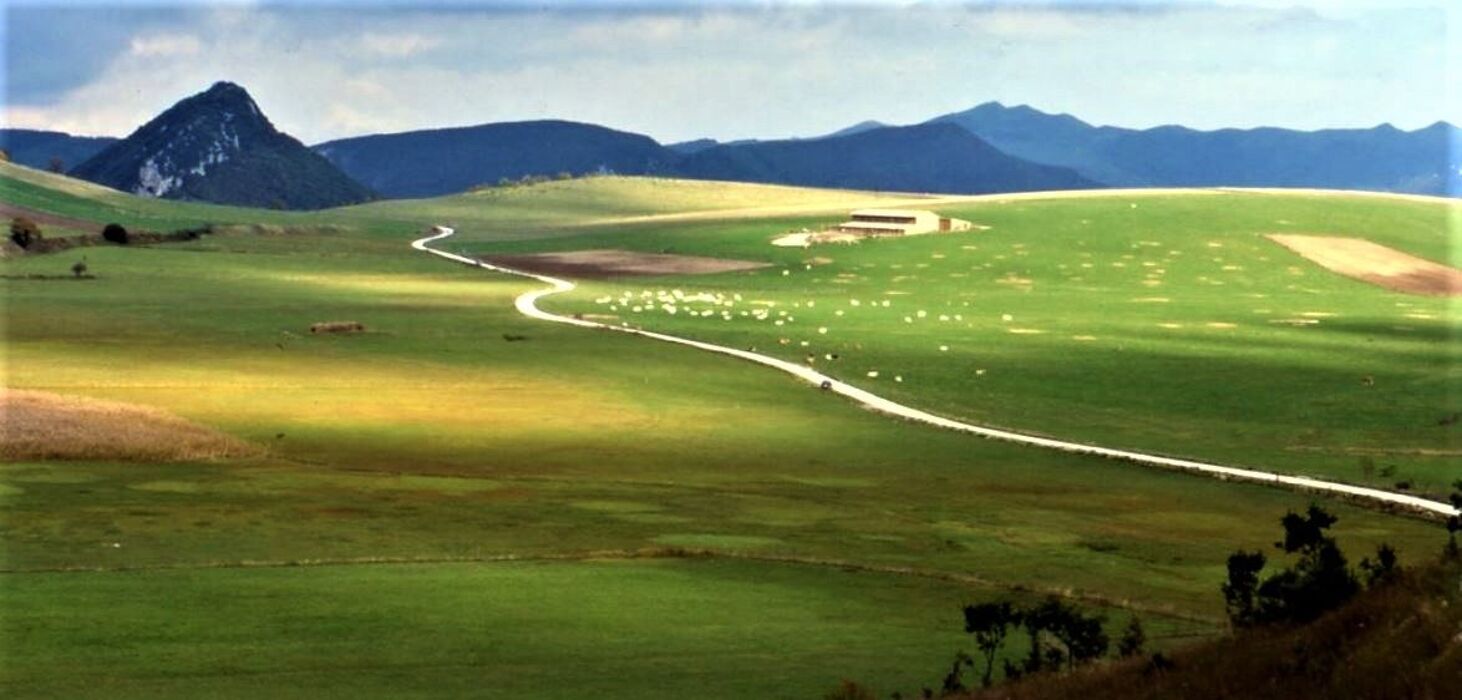 Escursione nella Biodiversità sull'Altopiano di Montelago Escursione nella Biodiversità sull'Altopiano di Montelago desktop picture