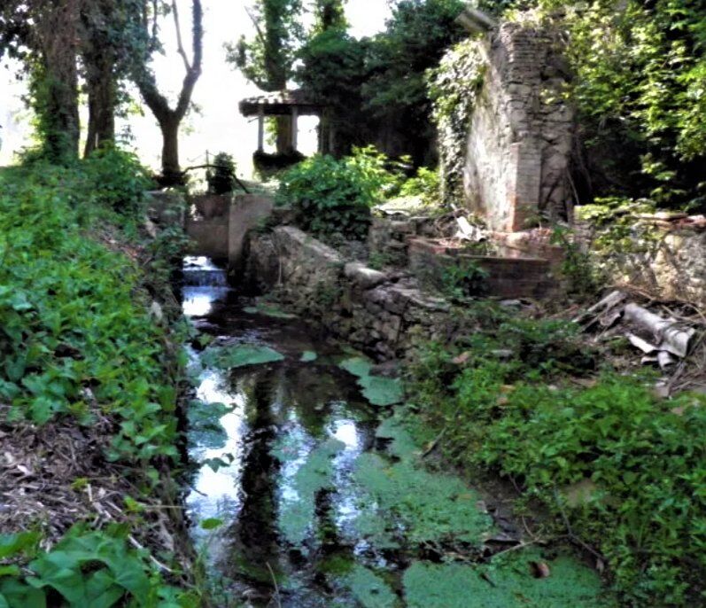 L’antica Ferrovia LuccaPontedera, scrigno di interessanti