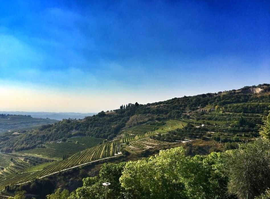 Walking e Yoga nelle Terre dell’Amarone Walking e Yoga nelle Terre dell’Amarone desktop picture