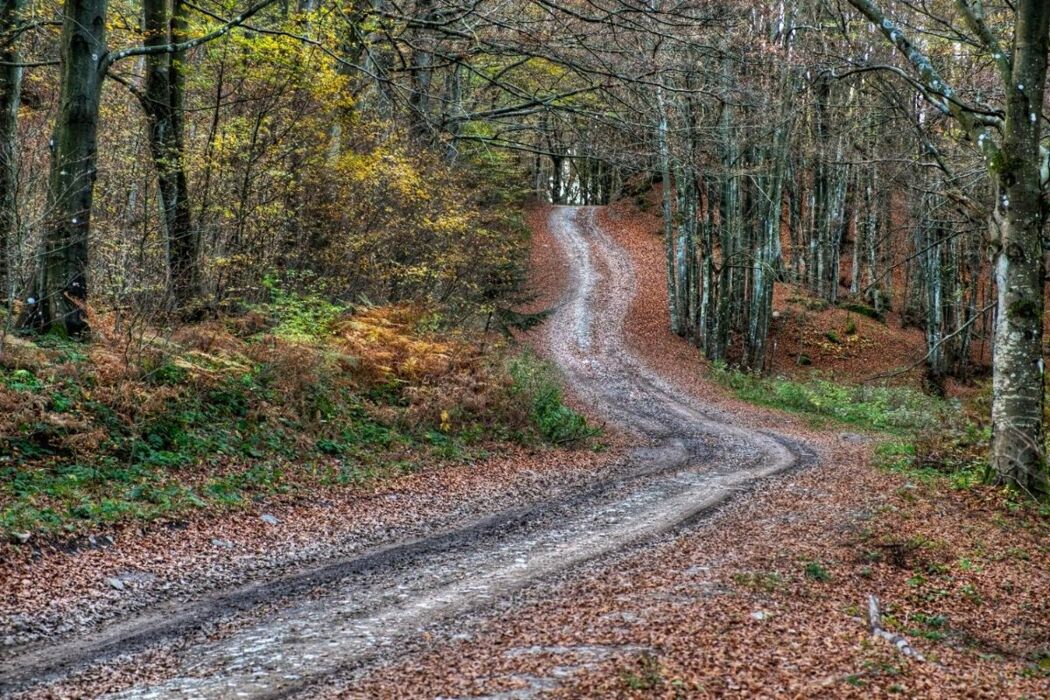 I Piacevoli Sentieri tra Castel dell’Alpi e Madonna dei Fornelli - MATTINA I Piacevoli Sentieri tra Castel dell’Alpi e Madonna dei Fornelli - MATTINA desktop picture