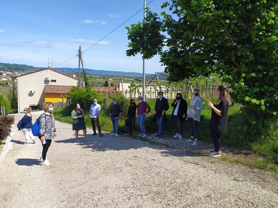 Cantina Tessari: Degustazione di Vino Veronese tra tradizioni e sapori Cantina Tessari: Degustazione di Vino Veronese tra tradizioni e sapori desktop picture