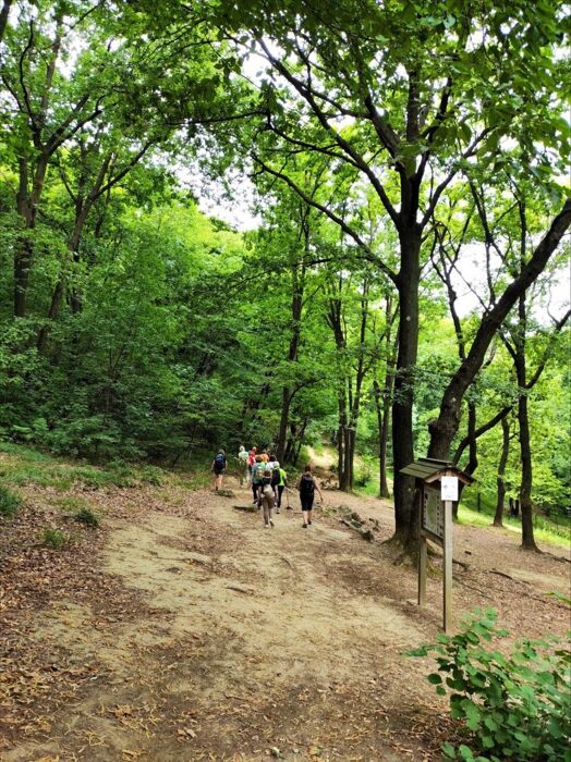 Tra Lecco e il Monte Barro: Passeggiata sensoriale sul Lago di Como Tra Lecco e il Monte Barro: Passeggiata sensoriale sul Lago di Como desktop picture