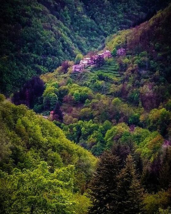 Tra Toscana ed Emilia: Trekking tra i Tesori dell'Appennino Tra Toscana ed Emilia: Trekking tra i Tesori dell'Appennino desktop picture