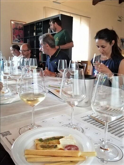 Escursione tra i vigneti di Alice Bel Colle: la Big Bench Rosa Escursione tra i vigneti di Alice Bel Colle: la Big Bench Rosa desktop picture