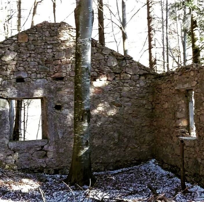 Un'Escursione tra Natura e Leggende: La Ramm Stoan e la Valle delle Anguane - POMERIGGIO Un'Escursione tra Natura e Leggende: La Ramm Stoan e la Valle delle Anguane - POMERIGGIO desktop picture