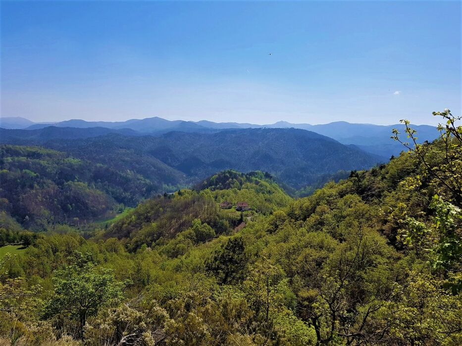 Anello di Bandita: Dolci Sentieri tra il Rio Meri e il Bric dei Gorrei Anello di Bandita: Dolci Sentieri tra il Rio Meri e il Bric dei Gorrei desktop picture