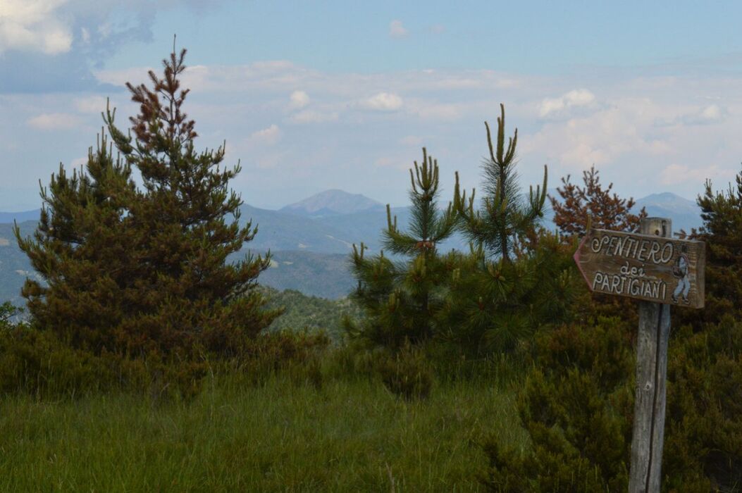 Anello di Bandita: Dolci Sentieri tra il Rio Meri e il Bric dei Gorrei Anello di Bandita: Dolci Sentieri tra il Rio Meri e il Bric dei Gorrei desktop picture