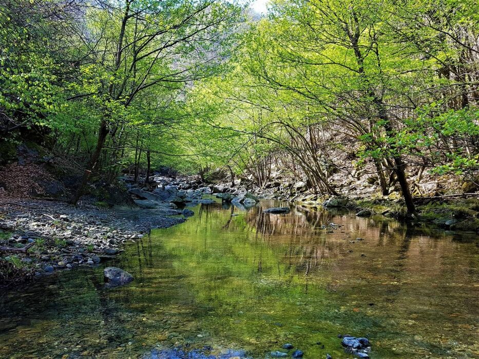 Anello di Bandita: Dolci Sentieri tra il Rio Meri e il Bric dei Gorrei Anello di Bandita: Dolci Sentieri tra il Rio Meri e il Bric dei Gorrei desktop picture