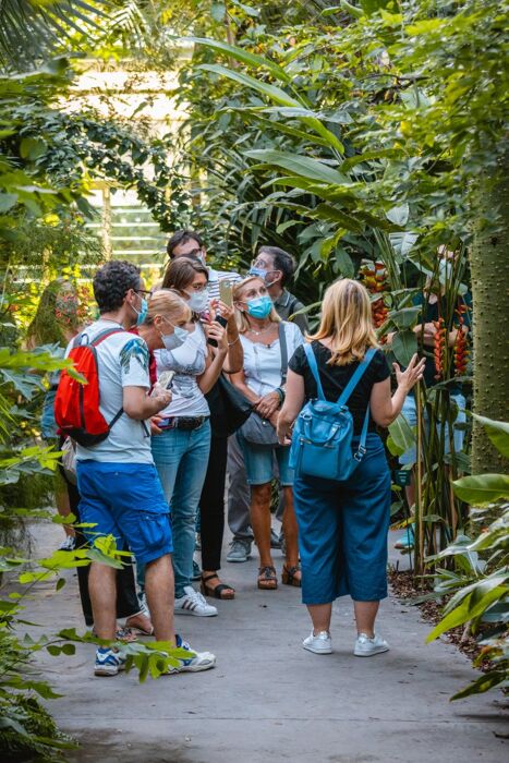 Tour Guidato di Padova: L’Orto Botanico e la Magia di Prato della Valle Tour Guidato di Padova: L’Orto Botanico e la Magia di Prato della Valle desktop picture