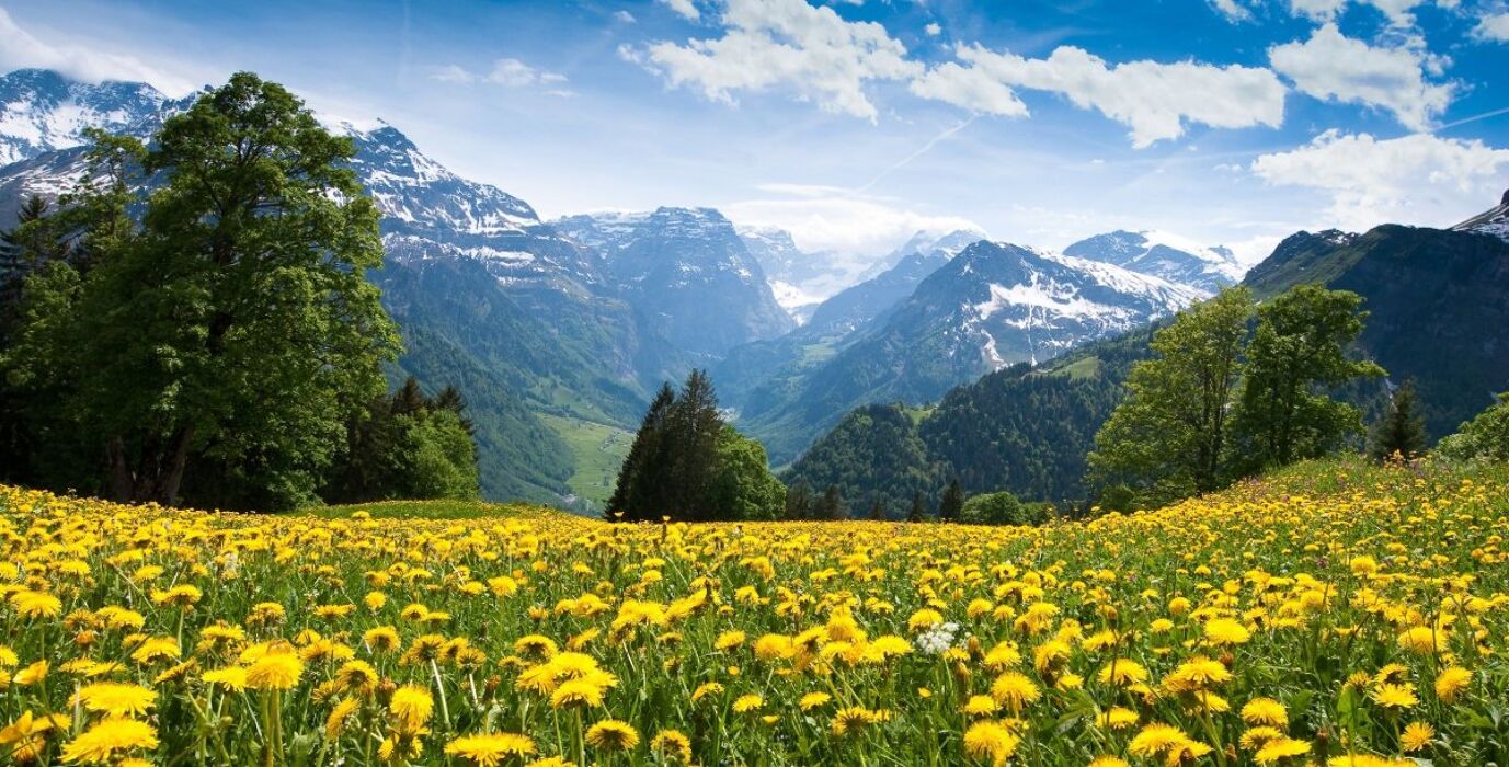 #HOMEXPERIENCE: Letteratura d'altura #HOMEXPERIENCE: Letteratura d'altura desktop picture