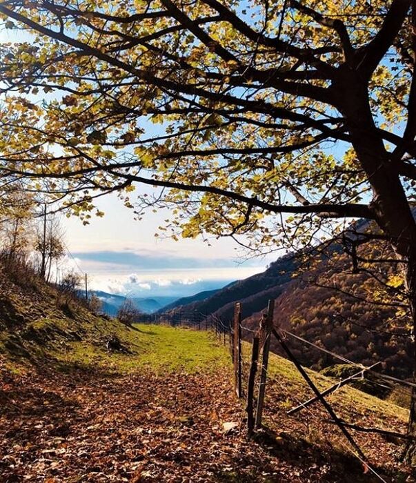L’anello di Pigra: tra Lago, Montagne e Panorami Mozzafiato L’anello di Pigra: tra Lago, Montagne e Panorami Mozzafiato desktop picture
