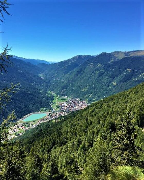 Un'Emozionante Escursione Cullati dalla Natura della Val Camonica - MATTINA Un'Emozionante Escursione Cullati dalla Natura della Val Camonica - MATTINA desktop picture