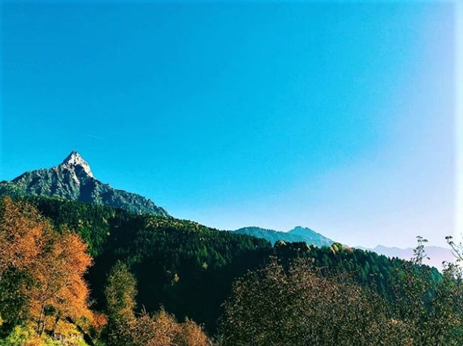 Dolce Escursione tra Caprioli e Poiane al Centro Faunistico dell’Adamello Dolce Escursione tra Caprioli e Poiane al Centro Faunistico dell’Adamello desktop picture