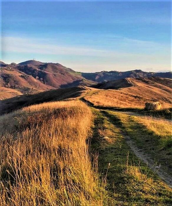 Lungo la Rinomata Via del Gesso degli Artisti: Il Parco dei Gessi dell’Abbadessa Lungo la Rinomata Via del Gesso degli Artisti: Il Parco dei Gessi dell’Abbadessa desktop picture