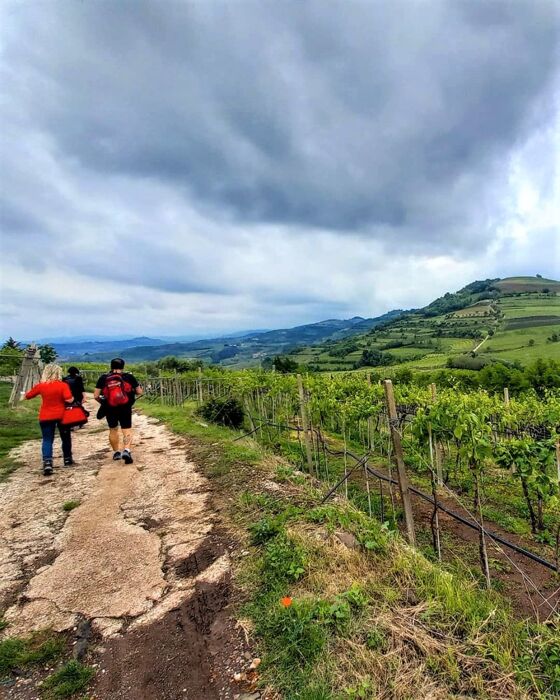 Passeggiata con Yoga a Soave Passeggiata con Yoga a Soave desktop picture
