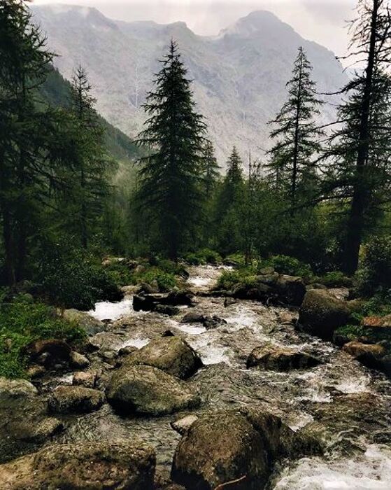 Trekking al tramonto tra i tesori naturalistici della Val Servin Trekking al tramonto tra i tesori naturalistici della Val Servin desktop picture