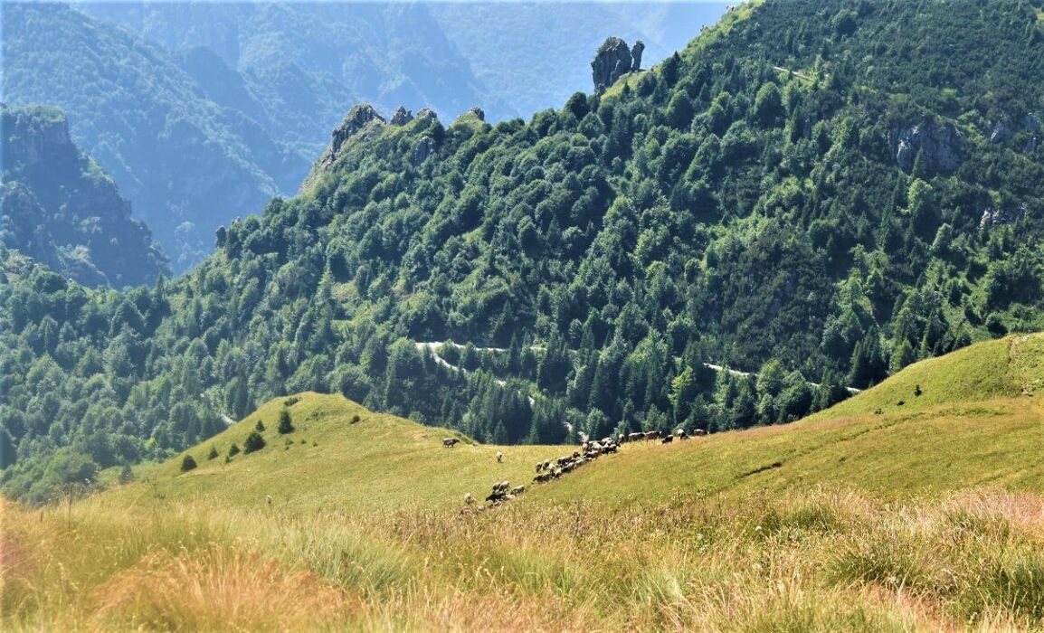 Escursione al Dosso Alto, il Belvedere della Valtrompia Escursione al Dosso Alto, il Belvedere della Valtrompia desktop picture