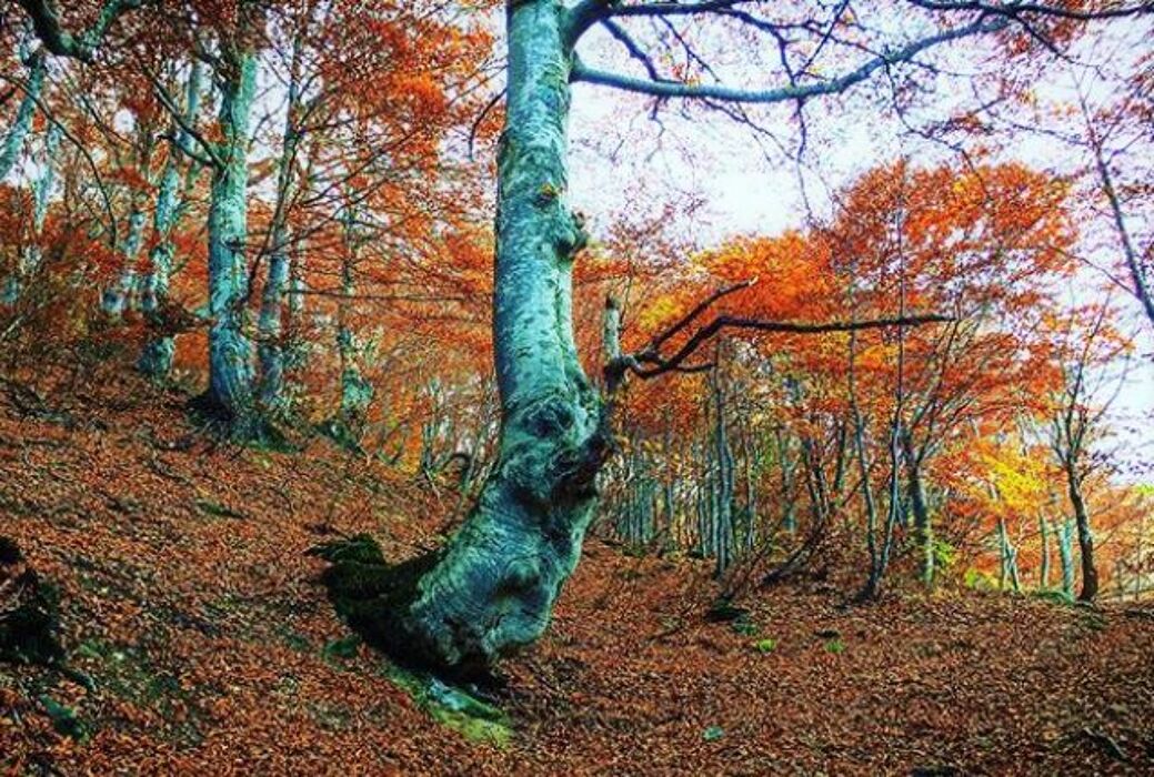 Palanfrè: una Borgata Fuori dal Tempo nel cuore delle Alpi Marittime Palanfrè: una Borgata Fuori dal Tempo nel cuore delle Alpi Marittime desktop picture