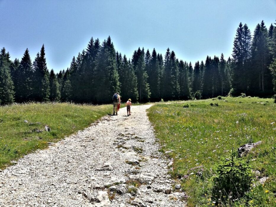 Escursione al Monte Campolongo con Vista sulla Valdastico Escursione al Monte Campolongo con Vista sulla Valdastico desktop picture