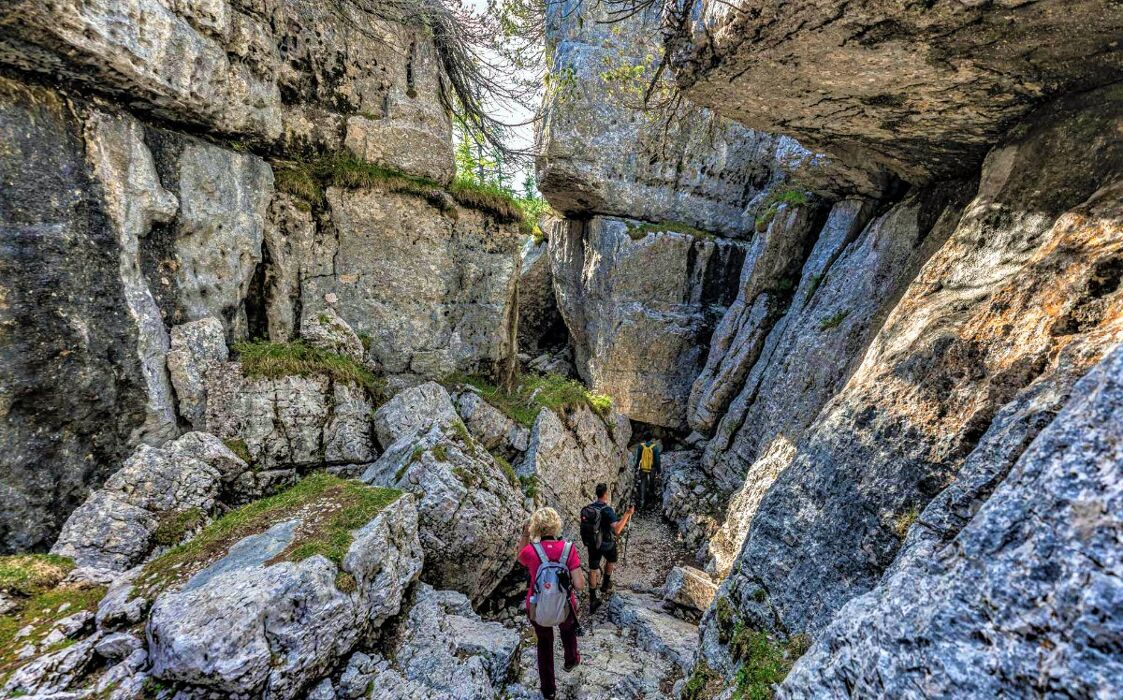 Trekking al Labirinto Castelloni di San Marco Trekking al Labirinto Castelloni di San Marco desktop picture