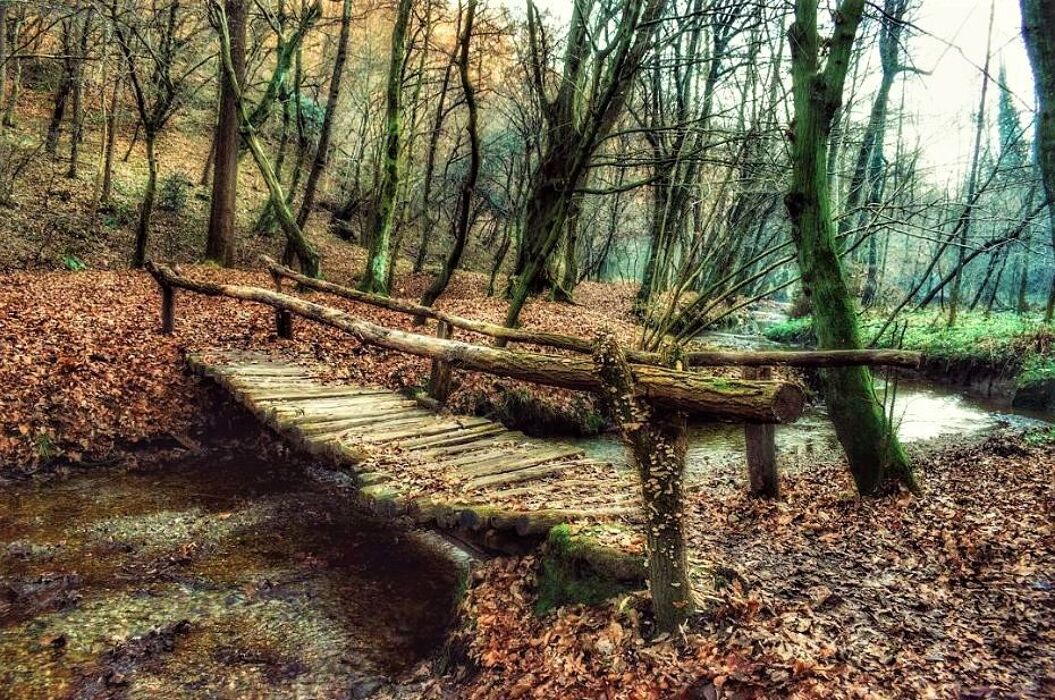 La Riserva Fontana del Guercio: un Paradiso Naturale nel Comasco La Riserva Fontana del Guercio: un Paradiso Naturale nel Comasco desktop picture