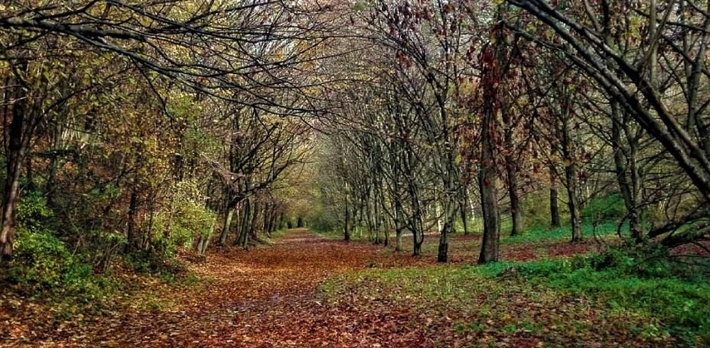 La Riserva Fontana del Guercio: un Paradiso Naturale nel Comasco La Riserva Fontana del Guercio: un Paradiso Naturale nel Comasco desktop picture