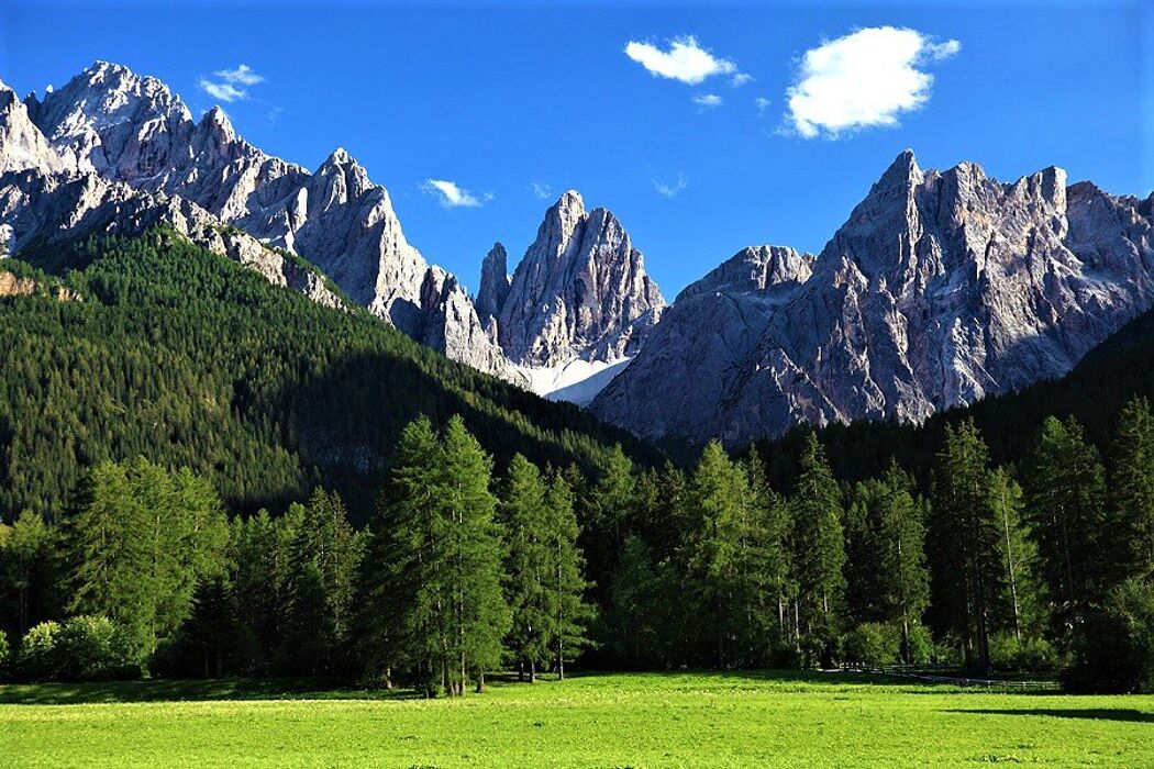Trekking alle Malghe di Confine tra la Val Pusteria ed il Comelico - MATTINA Trekking alle Malghe di Confine tra la Val Pusteria ed il Comelico - MATTINA desktop picture