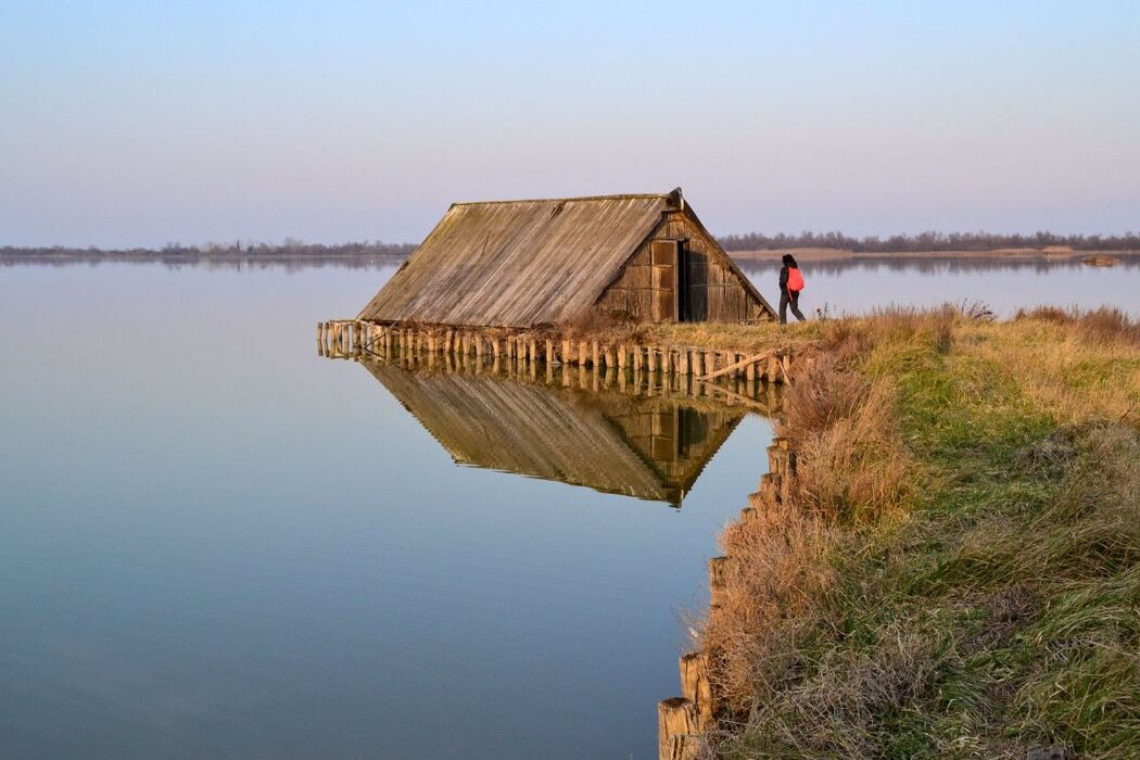 Escursione nel Delta del Po: tra foreste pluviali e fenicotteri rosa Escursione nel Delta del Po: tra foreste pluviali e fenicotteri rosa desktop picture