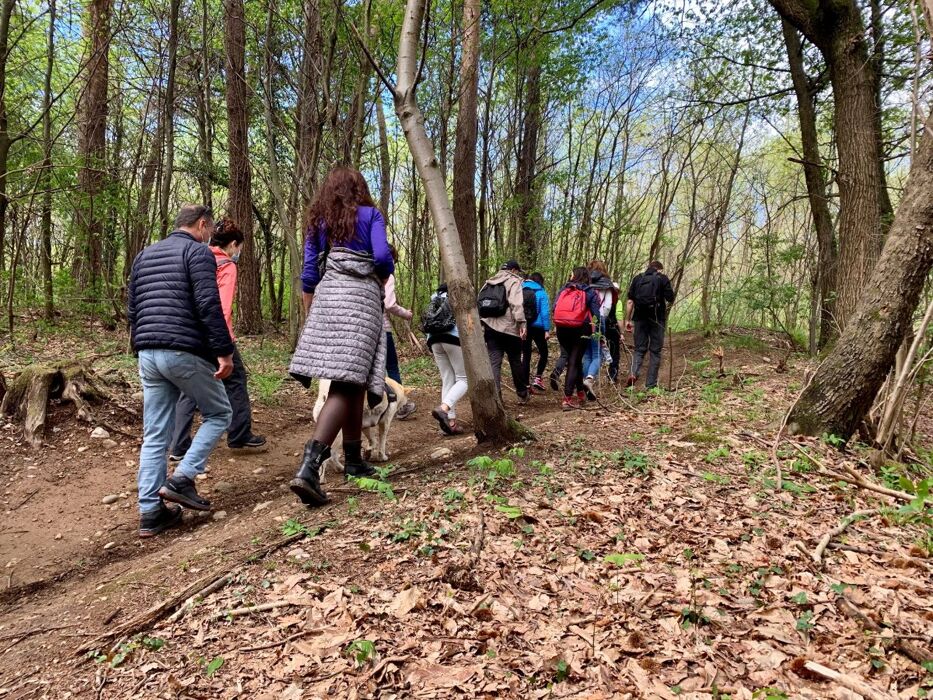 Passeggiata nel Parco della Pineta di Appiano Gentile e Tradate Passeggiata nel Parco della Pineta di Appiano Gentile e Tradate desktop picture
