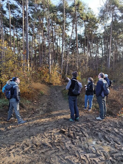 Il Parco della Pineta di Appiano Gentile: Una Passeggiata negli Ecosistemi Il Parco della Pineta di Appiano Gentile: Una Passeggiata negli Ecosistemi desktop picture