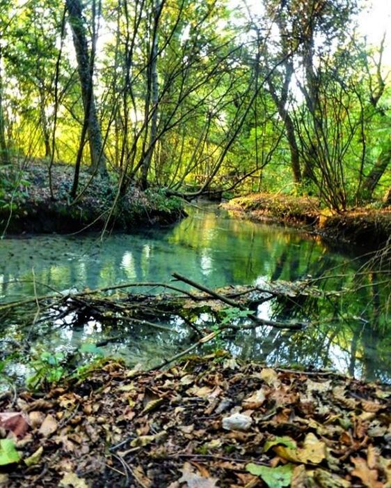 Walking e Yoga nella Magica Cornice del Parco Naturale del Fiume Sile Walking e Yoga nella Magica Cornice del Parco Naturale del Fiume Sile desktop picture