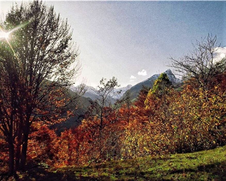 Escursione Serale nelle Valli di Lanzo: Aspettando il Solstizio d'Estate Escursione Serale nelle Valli di Lanzo: Aspettando il Solstizio d'Estate desktop picture