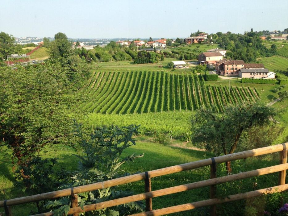 Due Giorni nelle Colline del Prosecco: tra Bici Elettrica e Degustazioni Due Giorni nelle Colline del Prosecco: tra Bici Elettrica e Degustazioni desktop picture