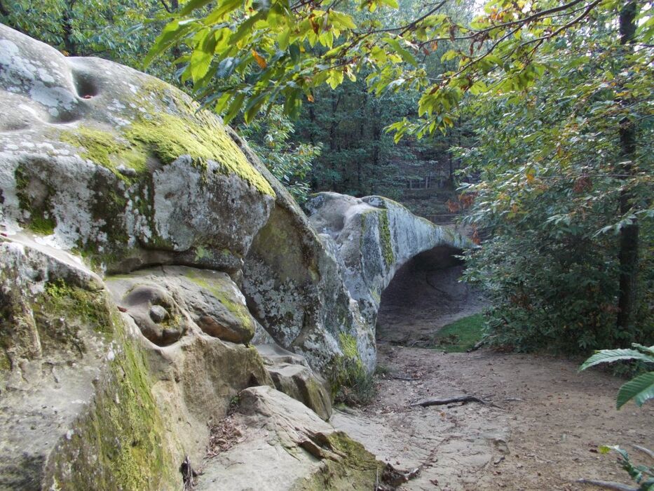 Camminata leggendaria al Ponte del Diavolo con merenda in Prosciutteria Camminata leggendaria al Ponte del Diavolo con merenda in Prosciutteria desktop picture