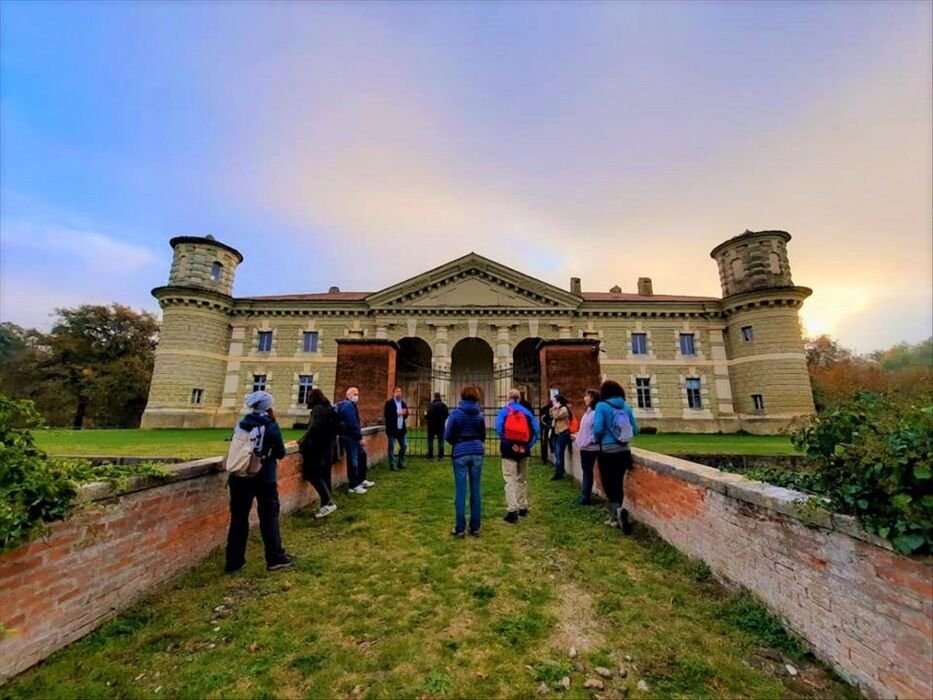 La Riserva di Bosco Fontana: Una Passeggiata nella Natura - POMERIGGIO La Riserva di Bosco Fontana: Una Passeggiata nella Natura - POMERIGGIO desktop picture