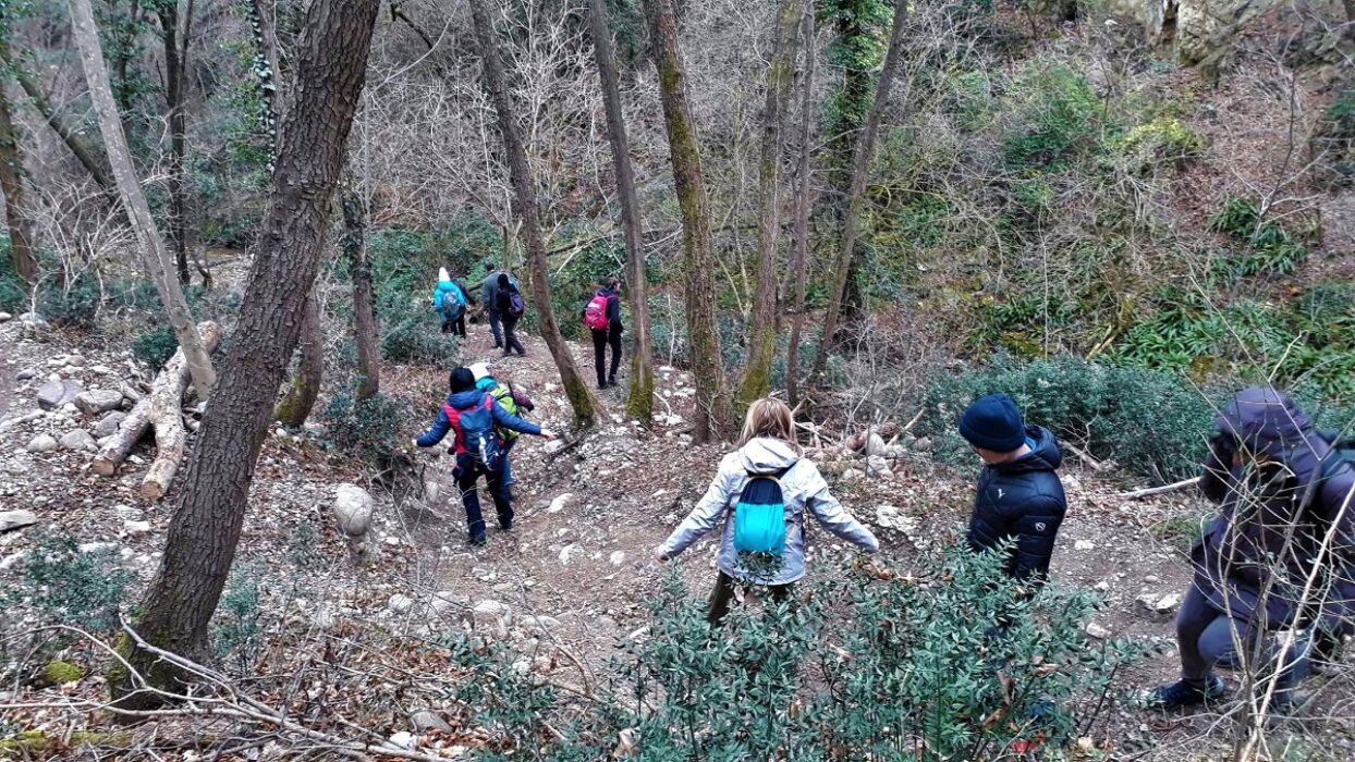 Giro ad anello del Monte Moscal, degustazione vini e visita parco villa storica Giro ad anello del Monte Moscal, degustazione vini e visita parco villa storica desktop picture