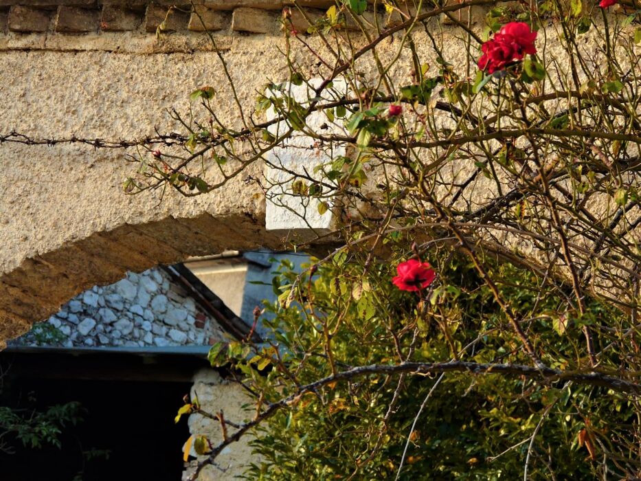 Una Passeggiata per Svelare le Leggende della Pedemontana Una Passeggiata per Svelare le Leggende della Pedemontana desktop picture