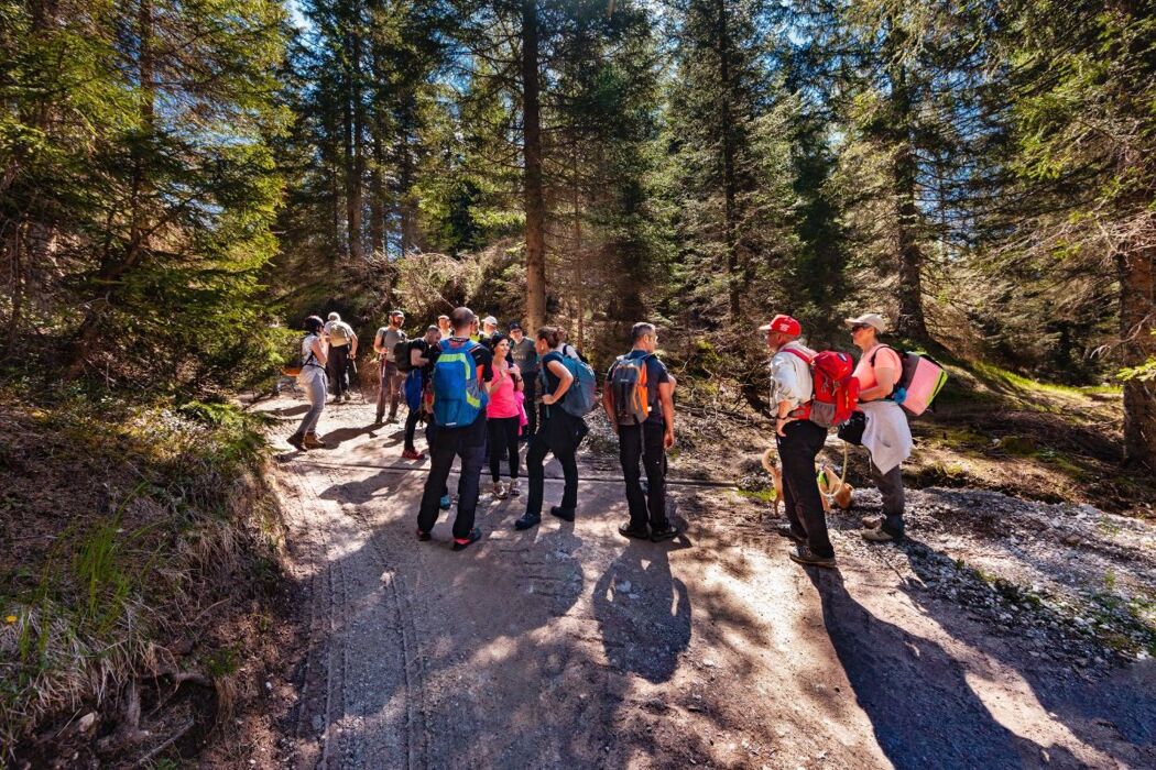 Trekking alle Malghe di Confine tra la Val Pusteria e il Comelico Trekking alle Malghe di Confine tra la Val Pusteria e il Comelico desktop picture