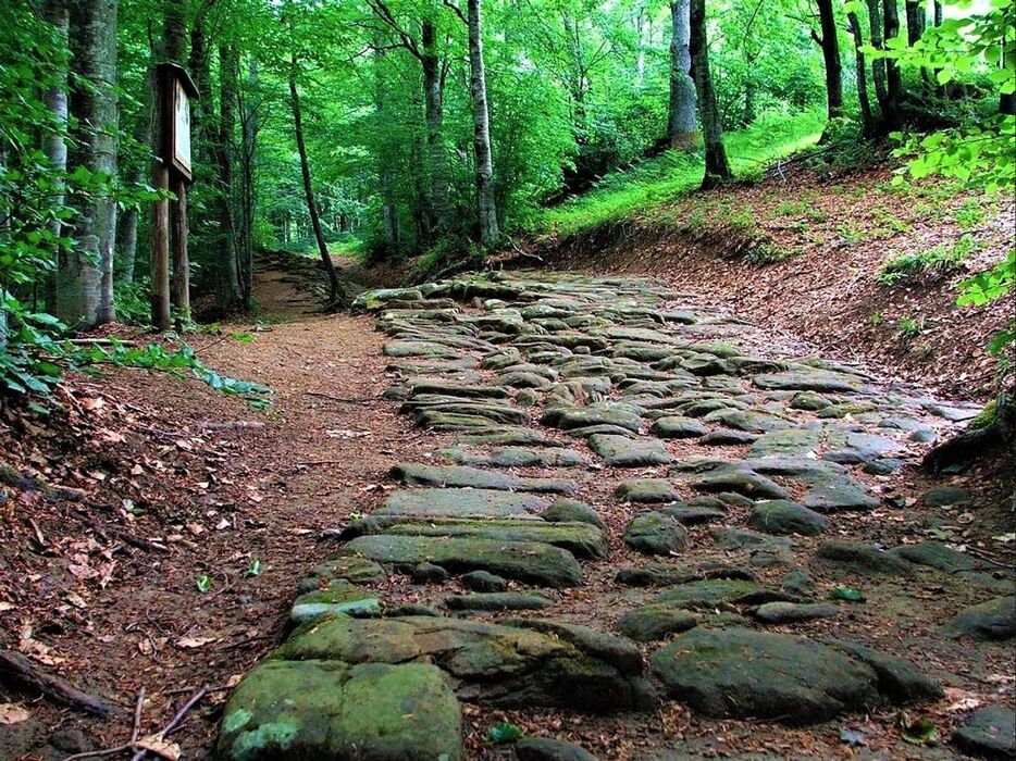 La Via degli Dei: Una Giornata Camminando Nella Storia - POMERIGGIO La Via degli Dei: Una Giornata Camminando Nella Storia - POMERIGGIO desktop picture