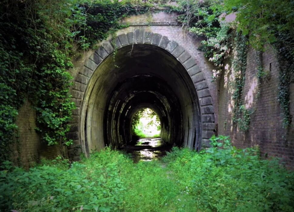 Escursione tra il Lago della Gherardesca e la Ferrovia Lucca-Pontedera Escursione tra il Lago della Gherardesca e la Ferrovia Lucca-Pontedera desktop picture