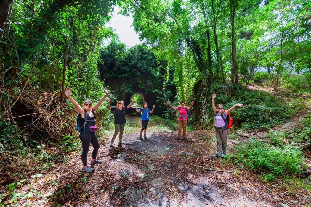 Escursione tra il Lago della Gherardesca e la Ferrovia Lucca-Pontedera Escursione tra il Lago della Gherardesca e la Ferrovia Lucca-Pontedera desktop picture