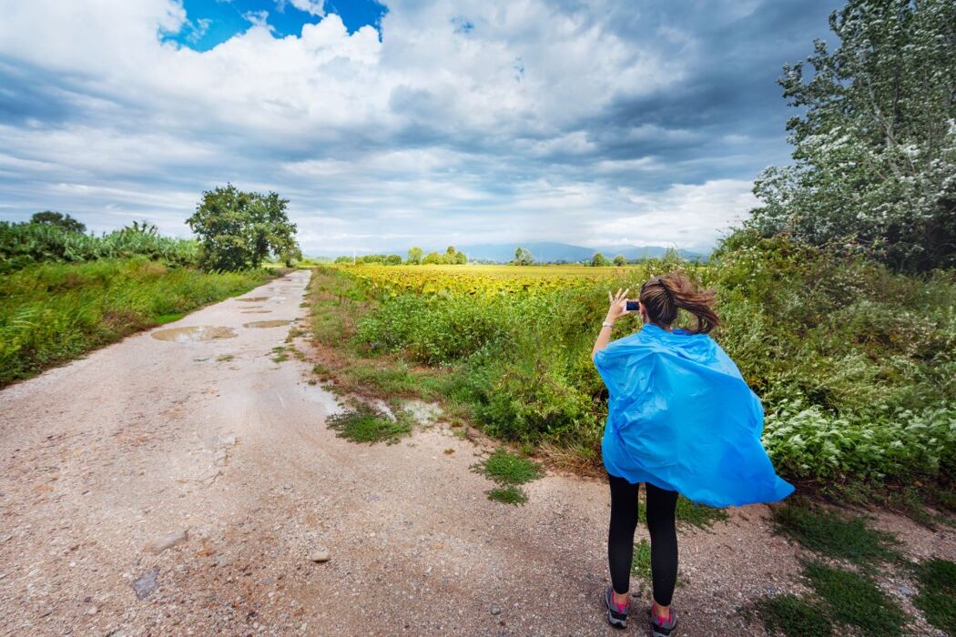 Escursione tra il Lago della Gherardesca e la Ferrovia Lucca-Pontedera Escursione tra il Lago della Gherardesca e la Ferrovia Lucca-Pontedera desktop picture